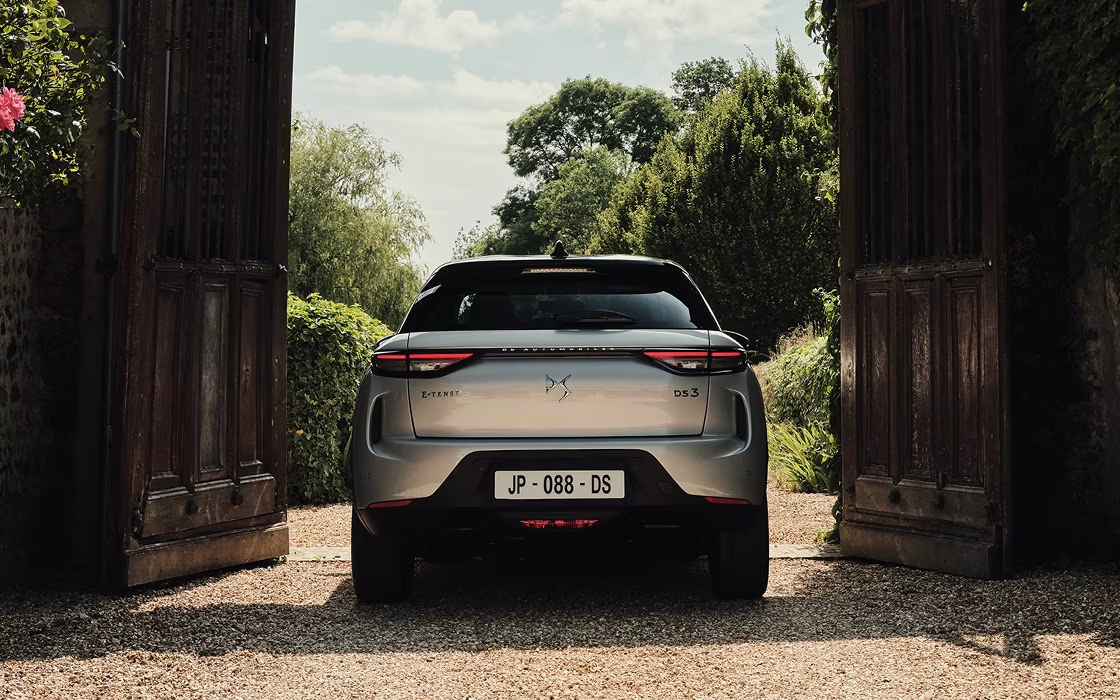 DS-3-3.jpg